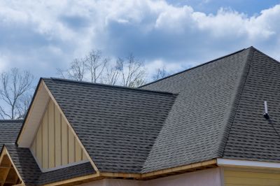 Specialty Roofing Providers